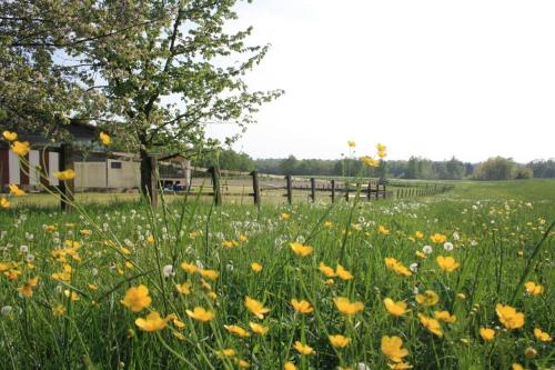  Agriturismo Cargandino, Mezzomerico bei Borgo Ticino