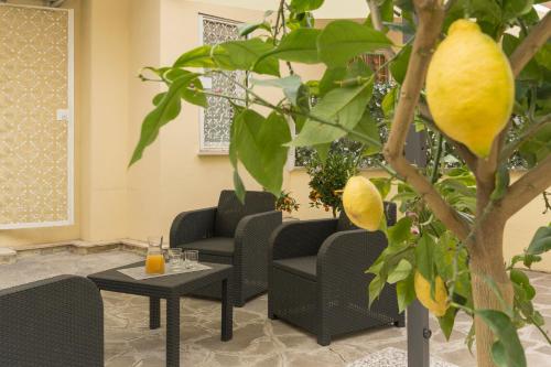 Il Giardino degli Agrumi - Roma, Rome (photo 7)