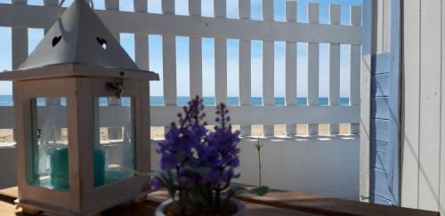 Bungalow Minonthebeach chambre d'hôte Sperlonga