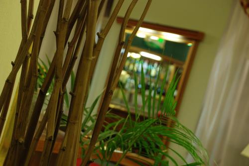 Hotels Image