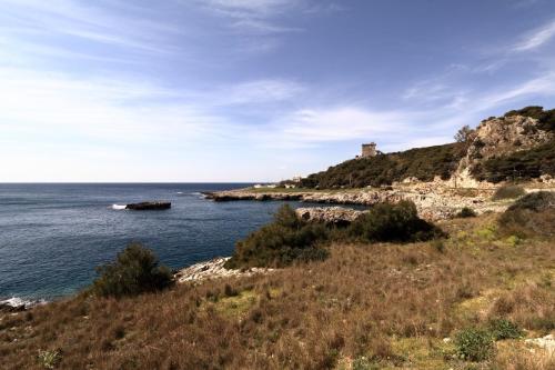 Santa Caterina StellAmare |SITCase