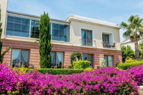 Antmare Hotel - image 5
