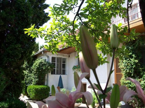Exterior view, Pensiunea Magnolia in Prejmer