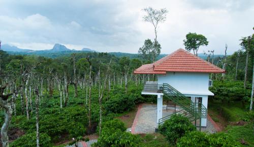 THE SUVISTARA WAYANAD KERALA