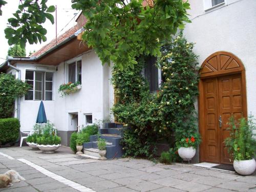Entrance, Pensiunea Magnolia in Prejmer