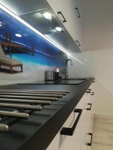 Apartament na Wzgórzu - Location saisonnière - Mechelinki