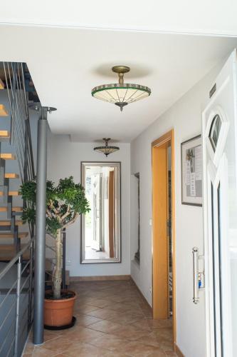 Apartment 3 in Gottmadingen, Deutschland