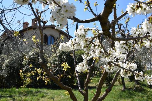 Casa Vacanze Porta Vecchia - image 5