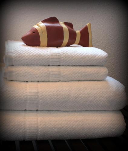 Horta d'en Rahola - Adults Only - image 7