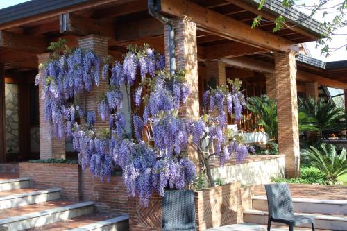 B&B Villa Sbaraglia 4