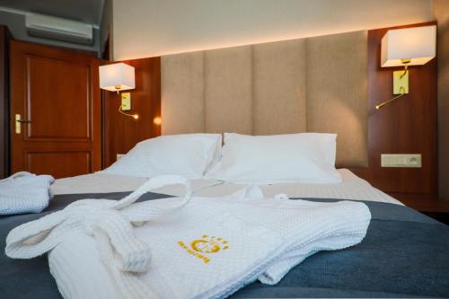 Hotel Belweder - image 8
