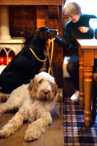 The Kings Lodge Inn - image 3