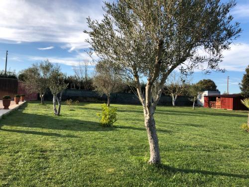  Villa Alessio in Decimomannu