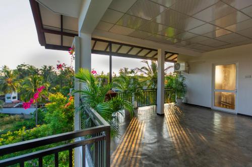 tuin, L&D Stay Inn in Hikkaduwa