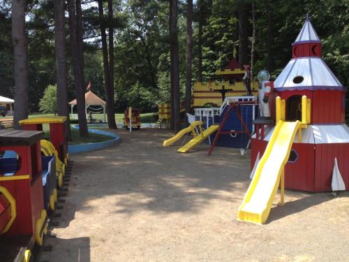 兒童遊樂場, 威廉斯上校度假及套房酒店 (Colonel Williams Resort and Suites) in 喬治湖