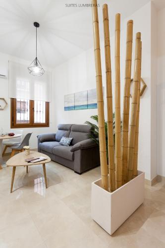 Suites Lumbreras 2