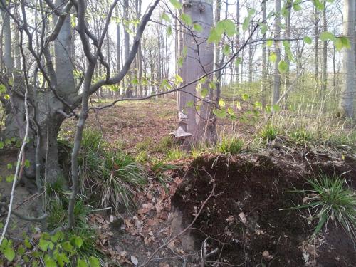 MOIN, MOIN & AHOI! 6.2km von Pohnsdorf entfernt
