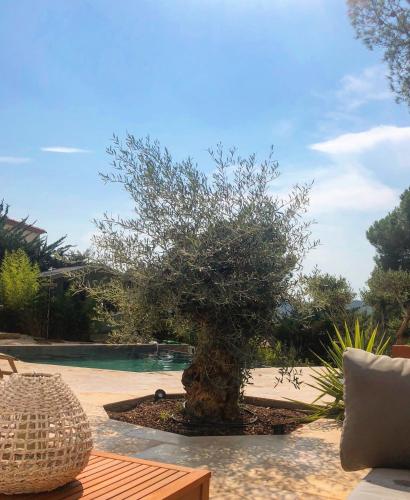 HomeStay Bormes photo 16