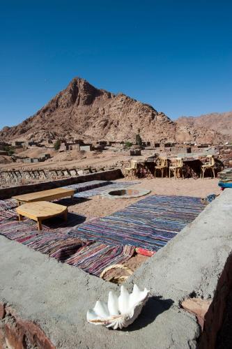 Sheikh Mousa Bedouin Camp