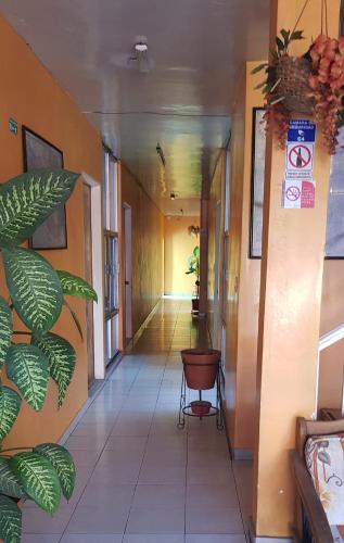 HOTEL DON JESUS (MORELOS) – Aguascalientes, DC
