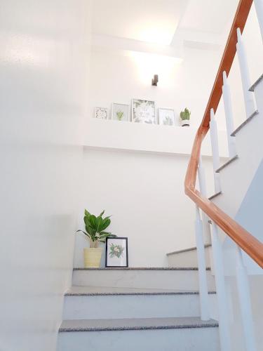 칸토 Quyen's house 3성급 호텔 외관