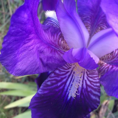 B&B Luce Viola – Dorgali, NJ
