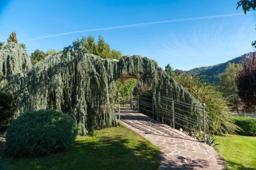 Hotel Bouganville - image 10
