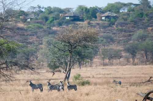 Mbalageti Serengeti