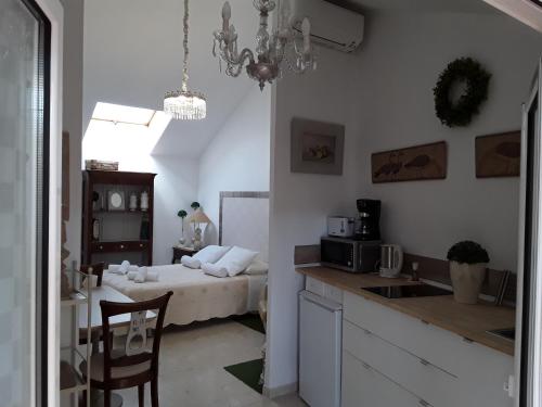 ESTUDIO FABIOLA CENTRO 12-MA, Malaga (zdjęcie 8)