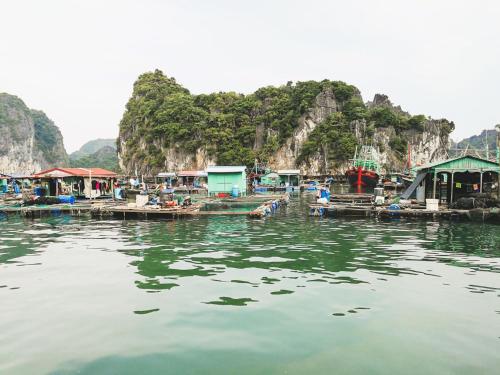 Heritage Line Ylang Cruise - Halong Bay & Lan Ha Bay - image 4
