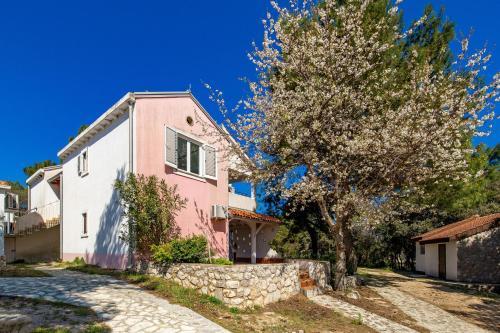 Apartments in pinewood near the sea