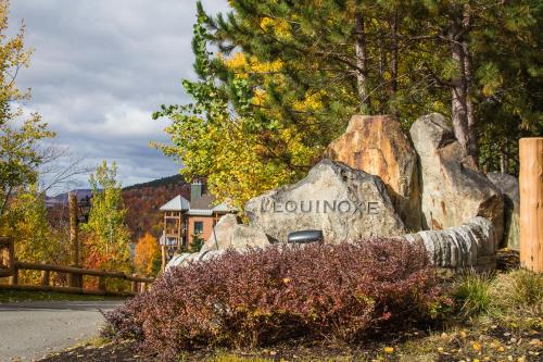 Equinoxe by Rendez-Vous Mont-Tremblant - Apartment - Mont Tremblant