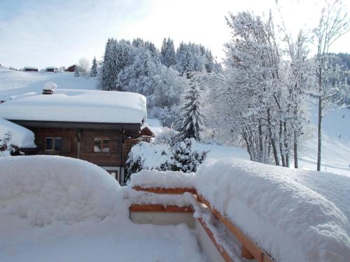Chalet Jonquille - image 6