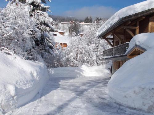 Chalet Jonquille - image 4