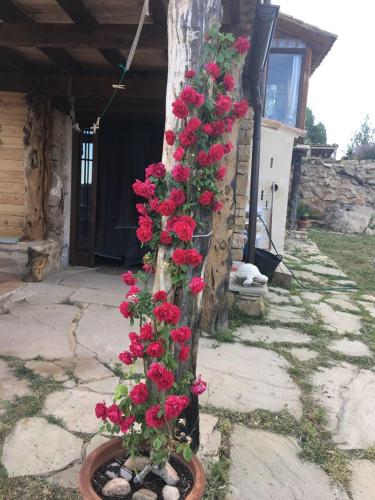 Monolocal rural con encanto in Valbona