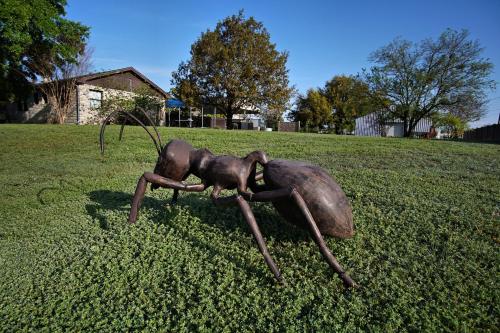 Live Oak B&B