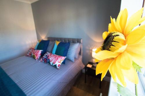 Ideal Lodgings in Bury - Fairfield - Bury