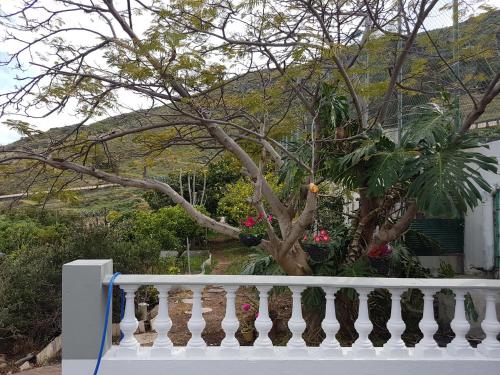 Apartamento rural en Santa Cruz de Tenerife