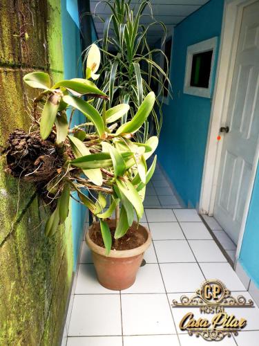 Zunanjost, HOSTAL Casa "PILAR" in Masaya