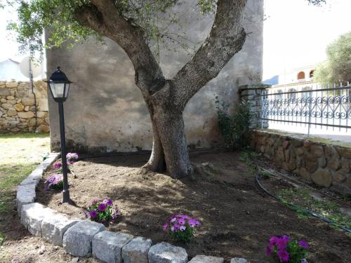  B&B LE ISOLE in San Teodoro