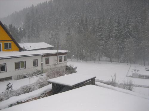 Pleasant Apartment in Wildemann amid Forest