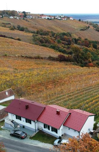 المنظر الخارجي, Ferienhaus Szapary II in Eisenberg