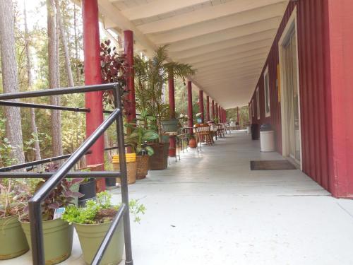 Yosemite Paradise Inn - image 2