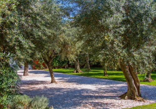 Suite Agave, Seravezza (fotografie 8)
