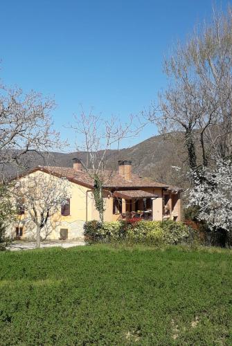 Il Casaletto - Apartment - Acquasparta