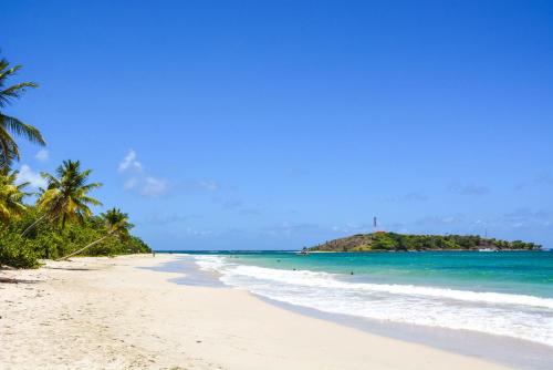 Holidays in Martinique - Ravenala, Sainte-Anne (Foto 6)