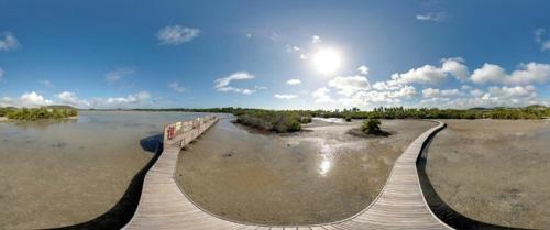 Holidays in Martinique - Ravenala, Sainte-Anne (Foto 3)