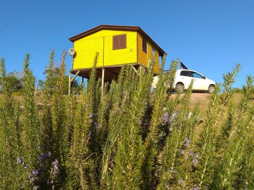 Fama, Punta del Diablo (photo 6)