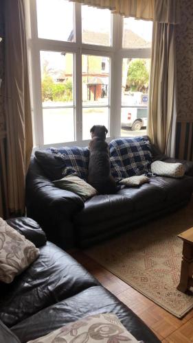 The Fernside - image 9
