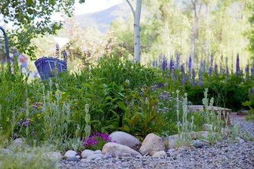 Mariposa Lodge Bed and Breakfast